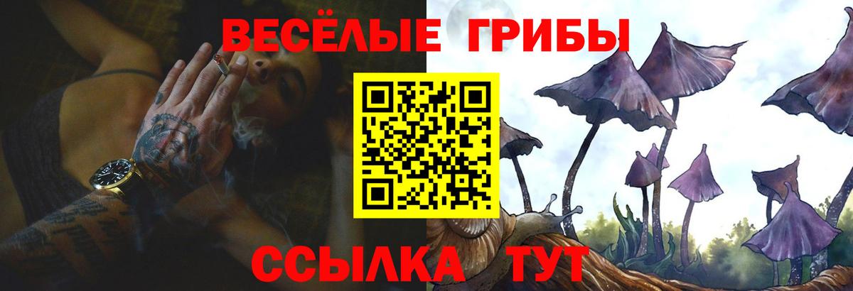 Ступино  Галлюциногенные грибы мухоморы  Псилоцибиновые грибы ЛСД  Вход с VPN 